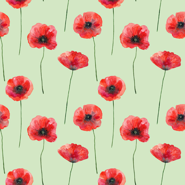 Seamless pattern with poppies on green, hand drawn illustration - Photo, Image