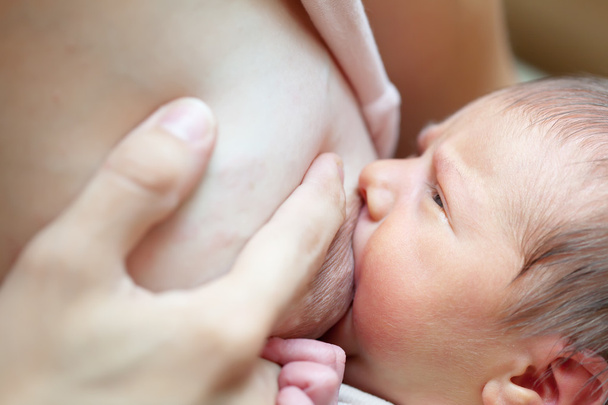 newborn baby sucks breast - Фото, изображение