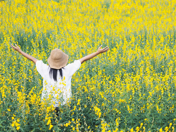 Vista posterior de la mujer turista libertad levantando los brazos y de pie en el campo de flores amarillas
. - Foto, Imagen