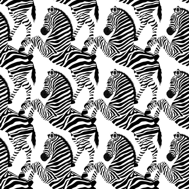 Zebra seamless pattern. Wild animal, striped black and white. design trendy fabric texture. Vector illustration isolated on white background. - Vector, imagen