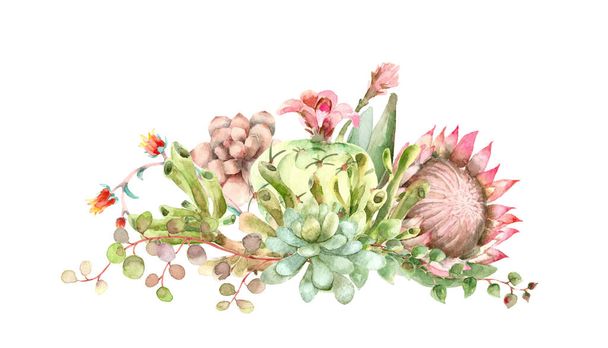 Succulents bouquet watercolor - Foto, imagen