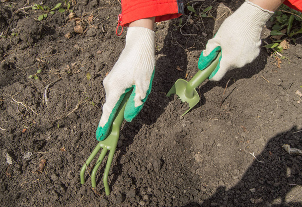 Ένα φορημένο γάντια χέρι κρατά ένα φτυάρι και προετοιμάζει το έδαφος για τη φύτευση των φυτών και λαχανικών σε έναν οργανικό κήπο, μια έννοια φιλοπεριβαλλοντική γεωργία. - Φωτογραφία, εικόνα