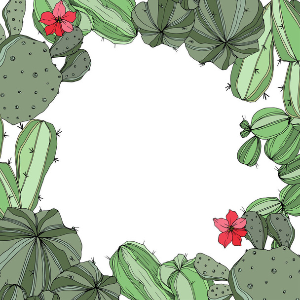 Vector Green cactus floral botanical flowers. Engraved ink art. Frame border ornament square. - Vector, Image