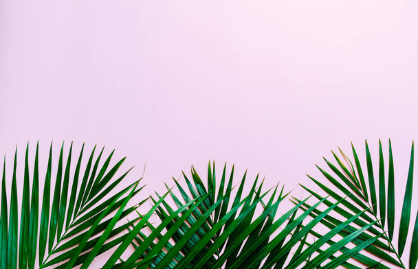 Tropical palm leaves on color background with copy space - Photo, Image