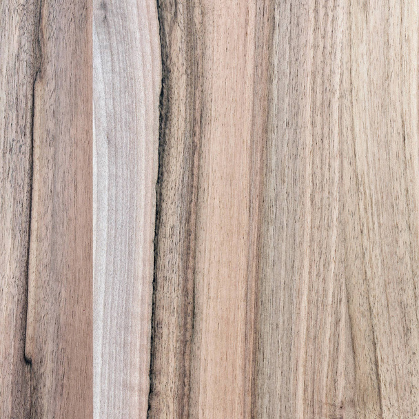 A fragment of a wooden panel hardwood. Walnut. - Zdjęcie, obraz