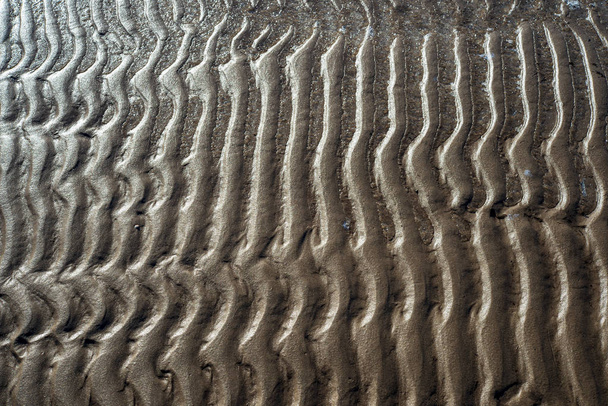 バルト海のビーチの砂のテクスチャ - 写真・画像