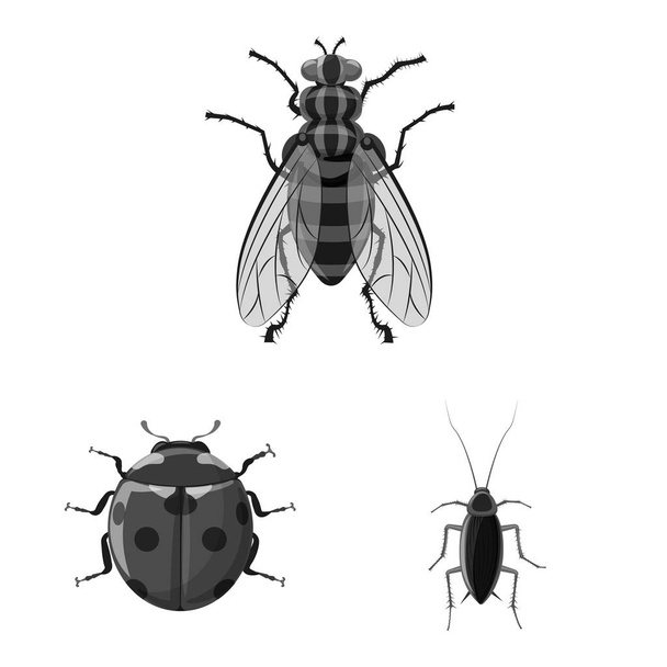 Vector ontwerp van insecten en vliegen symbool. Collectie van insect en element vector pictogram voor voorraad. - Vector, afbeelding