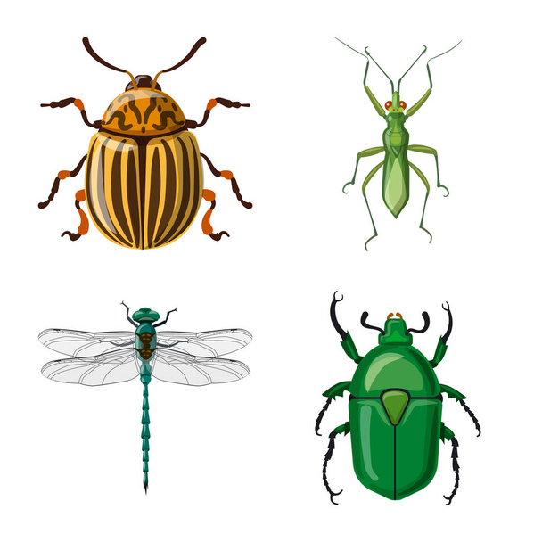 Projeto vetorial do ícone do inseto e da mosca. Coleta de inseto e elemento símbolo de estoque para web
. - Vetor, Imagem