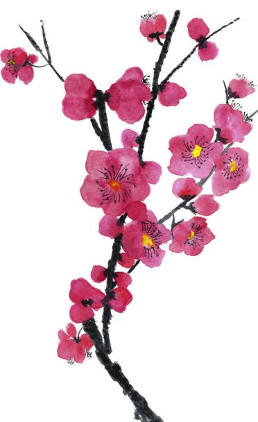 A branch of a blossoming tree. Pink and red stylized flowers of plum mei, wild apricots and sakura . Watercolor and ink illustration in style sumi-e, u-sin. Oriental traditional painting.   - Φωτογραφία, εικόνα