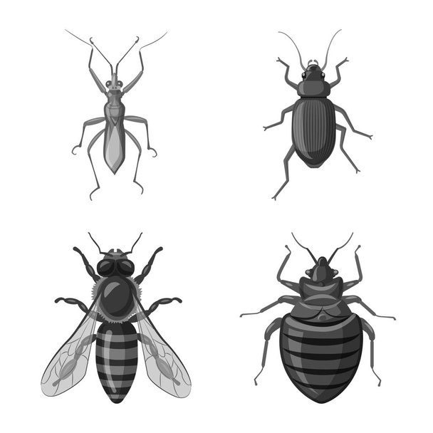 Vector ontwerp van insecten en vliegen pictogram. Set insect en element vector pictogram voor voorraad. - Vector, afbeelding
