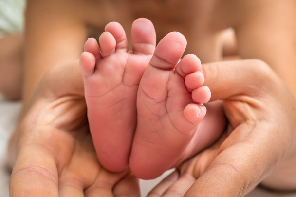 Pés de bebê recém-nascidos em mãos de mãe - conceito de amor familiar
 - Foto, Imagem