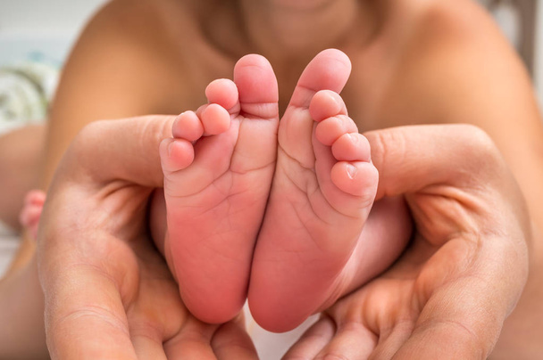 Newborn baby feet in hands of mother - family love concept - Photo, Image