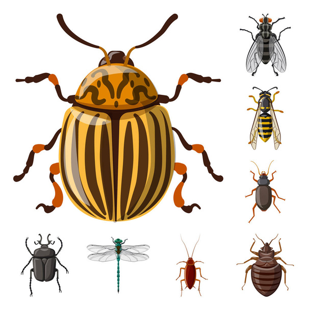 Изолированный объект насекомого и логотип мухи. Набор символов запаса насекомых и элементов для паутины
. - Вектор,изображение