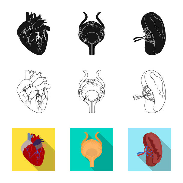 Vector illustration of body and human sign. Collection of body and medical vector icon for stock. - Vektor, Bild