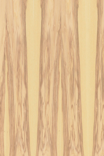 dişbudak ağaç ahşap yapı doku arka plan yüzey duvar kağıdı yüksek boyutu - Fotoğraf, Görsel