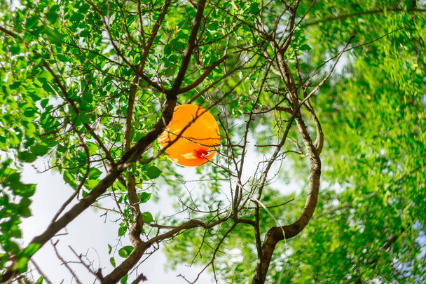 Narancssárga léggömb ragadt a zöld faágak között. - Fotó, kép