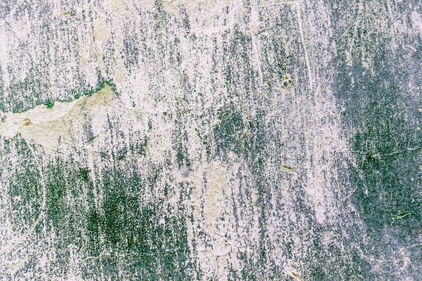 White and green color wall texture. Classic, grunge  background for design. - Photo, Image