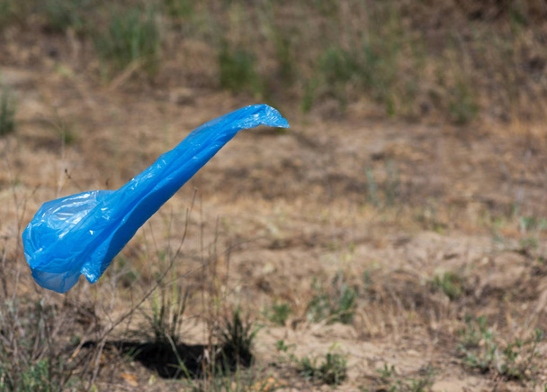 bolsa de polietileno azul para la mosca de la basura en un día soleado de verano, copiar spce
 - Foto, imagen