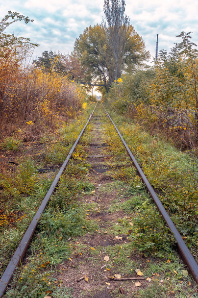 Old overgrown railway in autumn. - Valokuva, kuva