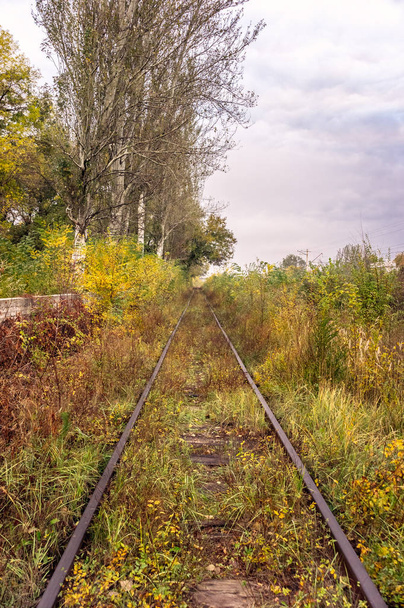 Stará železnice zarostlé podzim. - Fotografie, Obrázek