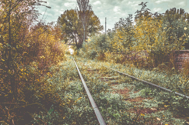 Ferrocarril viejo cubierto en otoño
. - Foto, imagen