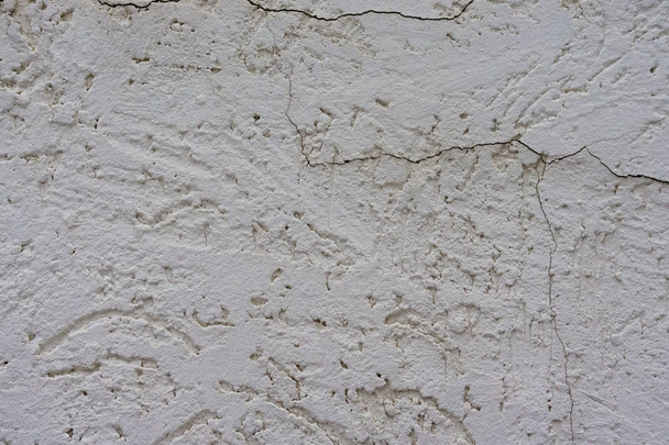 Texture of the decorative stucco wall as a background. Bark beetle style. - Photo, Image