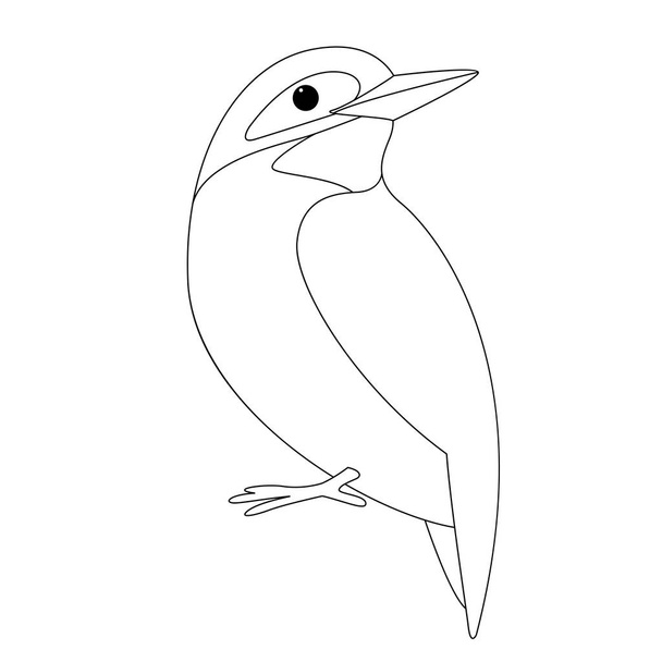  Zimorodek Ptak, ilustracji wektorowych, podszewki narysuj, - Wektor, obraz