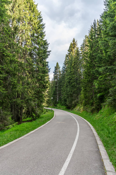 winding asphalt road leading to top of mountain. - Fotoğraf, Görsel