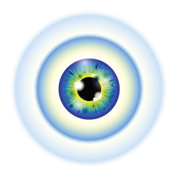 globo ocular realista verde y azul
 - Vector, Imagen