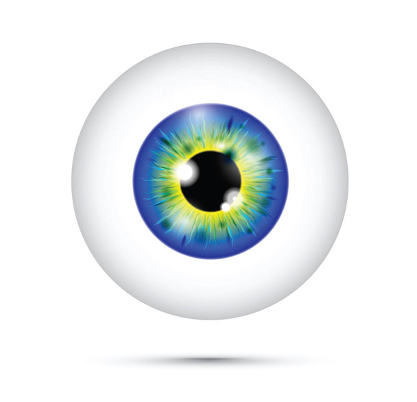 green and blue realistic eyeball - Vector, Image