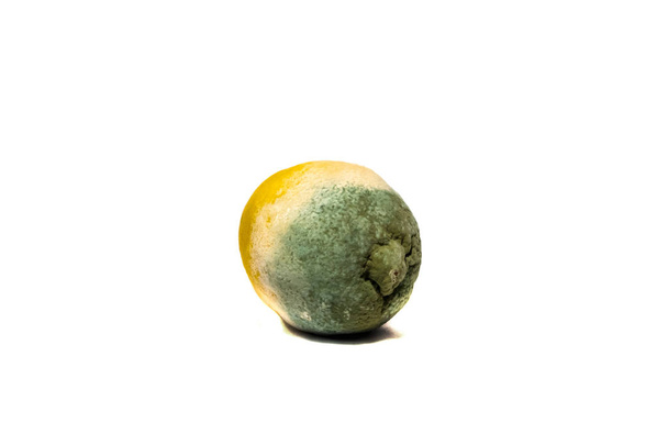 faule Zitrone isoliert auf weißem Hintergrund - Foto, Bild