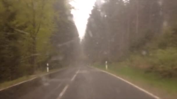 Rijdt op weg door het bos de bomen met bewolkt en beetje besneeuwde dag. Uitzicht vanaf de autoruit - Video