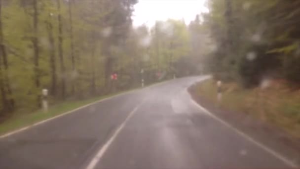Orman ağaçları yolda bulutlu ve küçük karlı gün hareket. Arabamın penceresinden görüntülemek - Video, Çekim