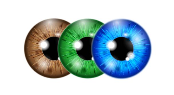 conjunto de globo ocular realista
 - Vector, Imagen
