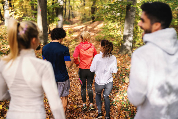 kleine Gruppe fröhlicher Freunde, die im Herbst in Sportkleidung durch den Wald laufen. - Foto, Bild