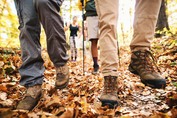 Close up of hikers' legs walking through woods. Autumn time. - Photo, Image