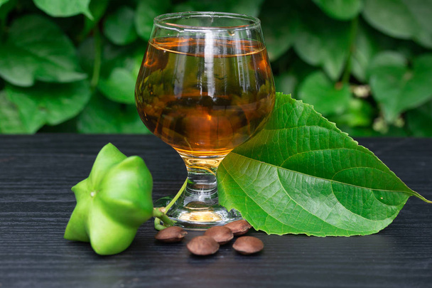 Sacha Inchi, semillas frescas de la cápsula fruto del cacahuete sacha-Inchi con té sobre fondo de hoja verde
 - Foto, imagen
