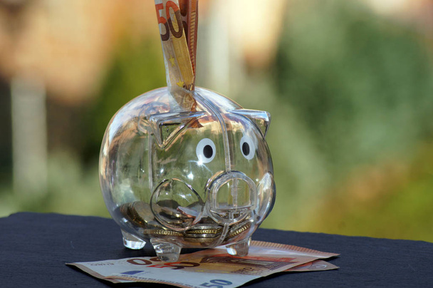 Piggy bank with euro money                 - Photo, Image