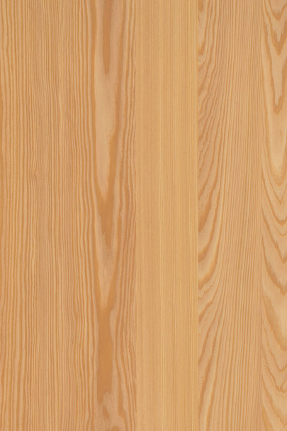 pine tree wood structure texture background surface wallpaper high size - Fotó, kép