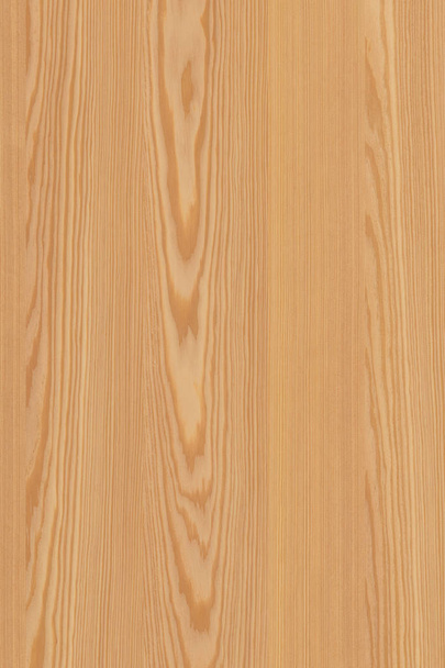 pine tree wood structure texture background surface wallpaper high size - Valokuva, kuva