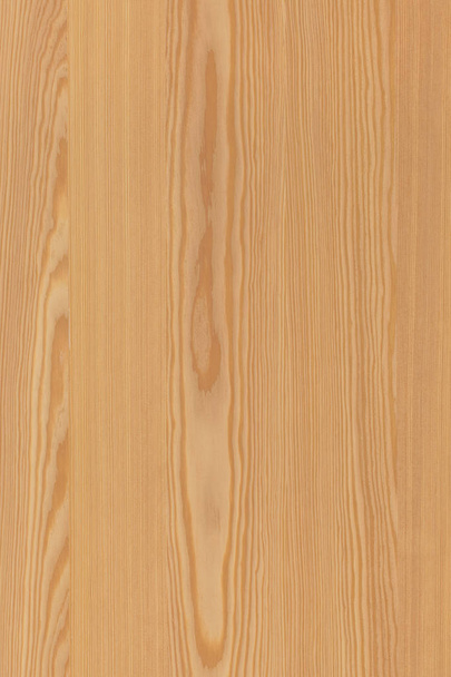 pine tree wood structure texture background surface wallpaper high size - Fotografie, Obrázek
