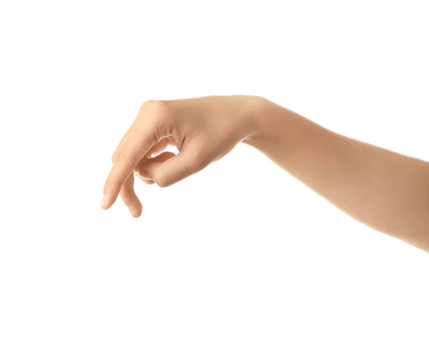Female hand on white background - 写真・画像