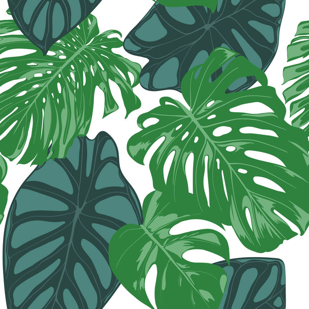 Seamless Hand Drawn Botanical Exotic Pattern with Philodendron and Alocasia Leaves. Vector Jungle Foliage in Watercolor Style. Seamless Tropic Leaf Background for Textile, Cloth, Fabric, Paper. - Vektor, obrázek