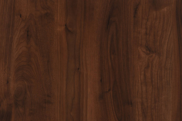 dark brown walnut timber tree wood structure texture background backdrop - Фото, изображение