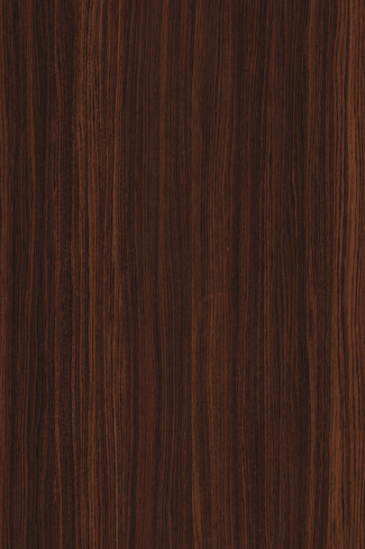 dark brown walnut timber tree wood structure texture background backdrop high size - Foto, Imagen