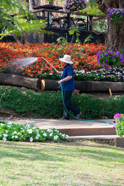 A equipe sênior está regando o jardim de flores com o bico de pulverização no jardim botânico
. - Foto, Imagem