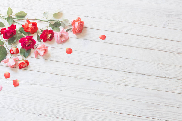 roses on white wooden background - Fotografie, Obrázek