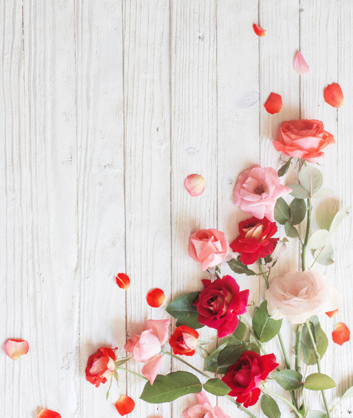 roses on white wooden background - 写真・画像
