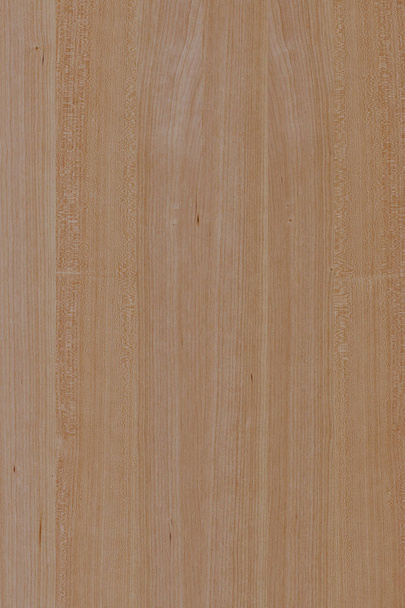 φόντο ξύλινη δομή υφή υπόβαθρο ταπετσαρία υψηλής μέγεθος - Φωτογραφία, εικόνα