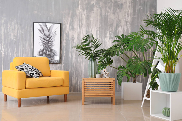 Plantas tropicales verdes en el interior del salón
 - Foto, Imagen
